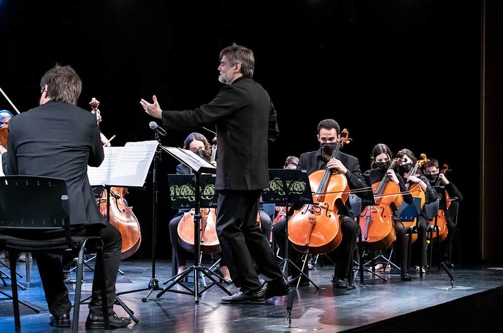 Concert de la constitució