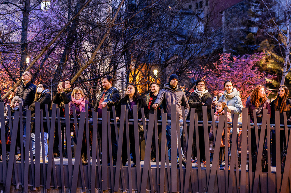Públic a La cinquena façana i la neu