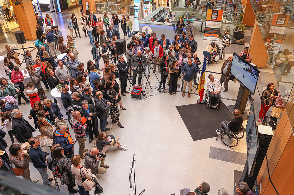 Dia de la discapacitat