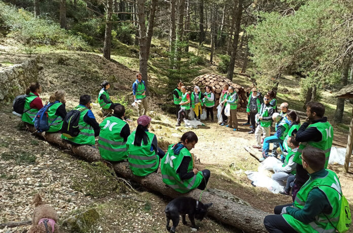 Onada Verda de Pyrénées Andorra