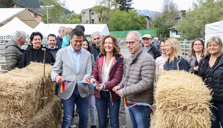 fira-bestiar-ordino-028A5260