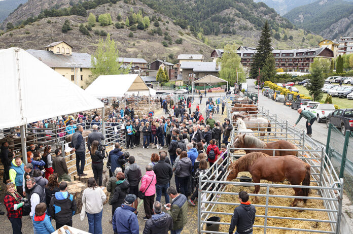 Fira del Bestiar a Ordino