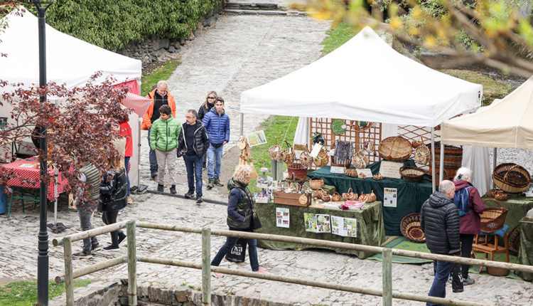 fira-bestiar-ordino-028A5580