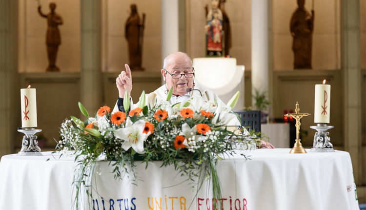 DIADA AGENTS CIRCULACIO 2022 11