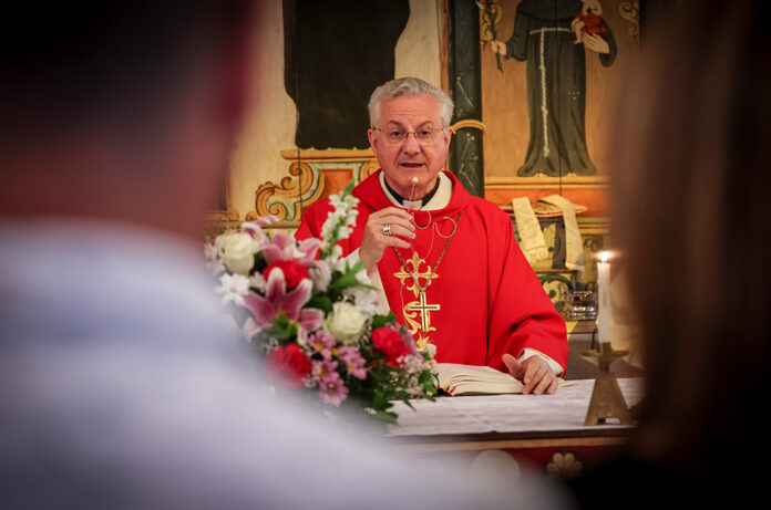 Joan Enric Vives Diada de Sant Romà de Vila