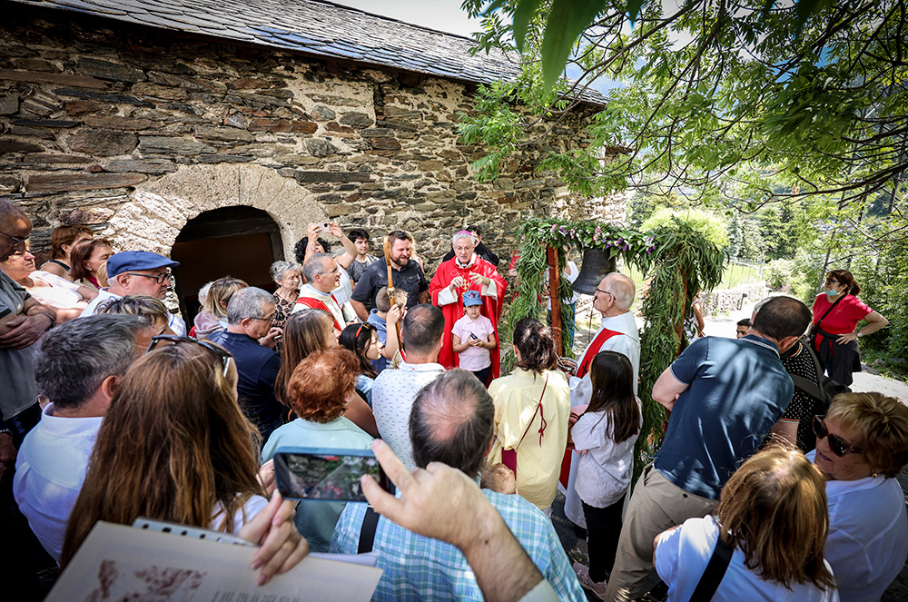 Joan Enric Vives Diada de Sant Romà de Vila