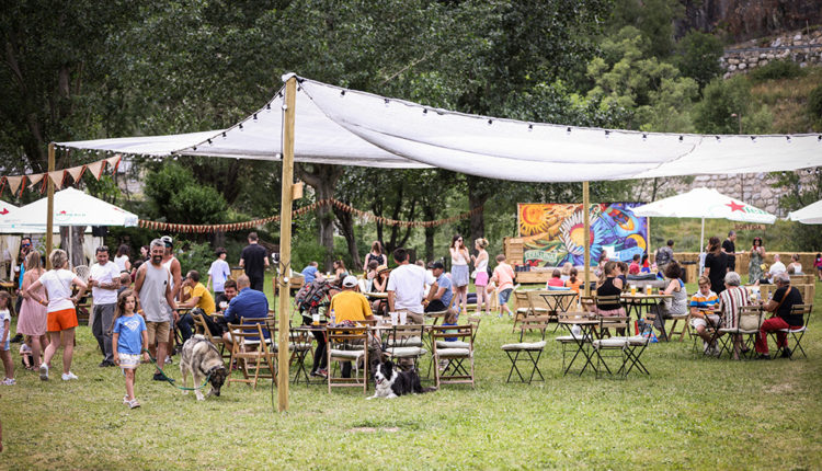 carlina-market-028A6241