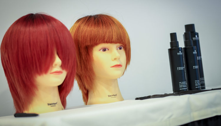 comercial-renoir-028A6791