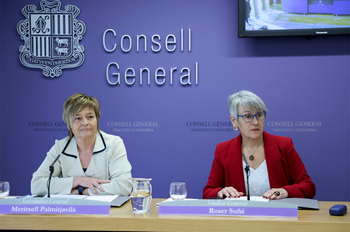 Consell general agenda del dia de la constitució