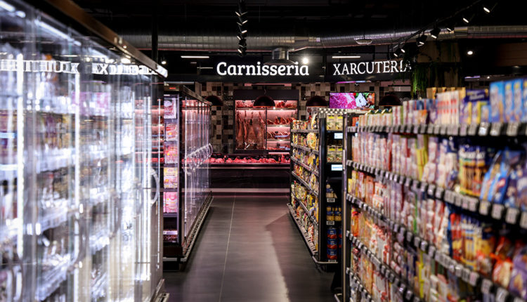 sin título-028A5303