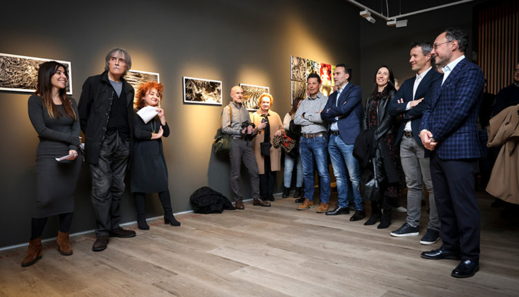 expo-jaume-riba-028A6123