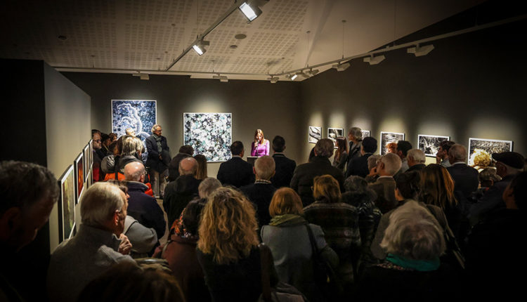 expo-jaume-riba-028A6141