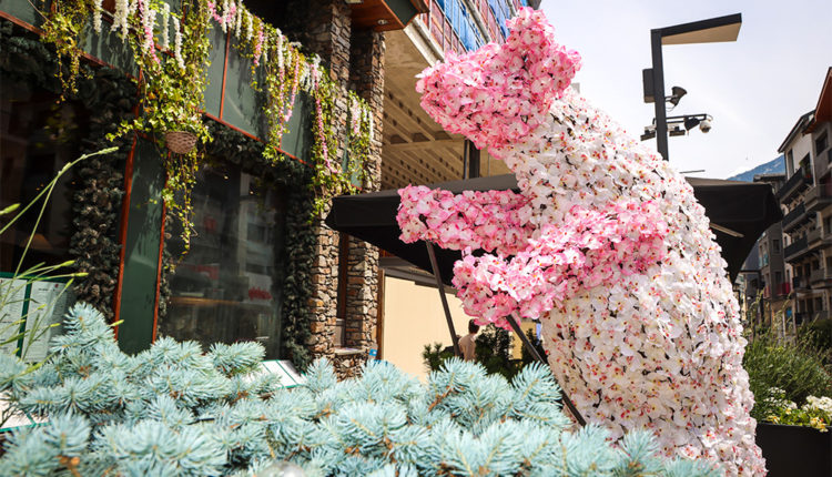 02_ GRANDE toni-cruz-IMG_6628