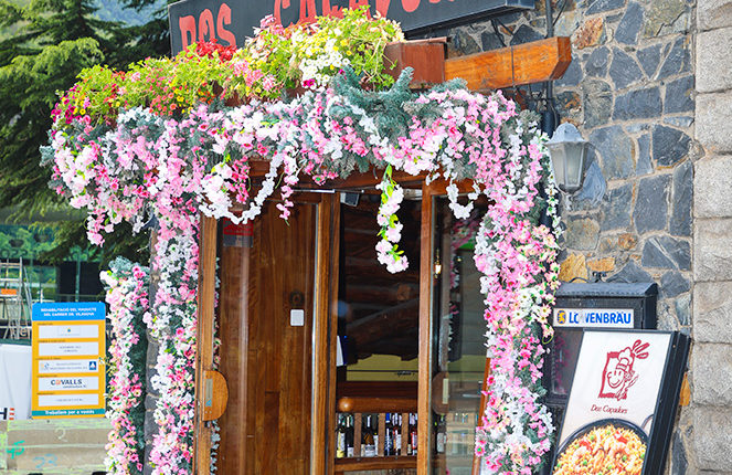 03_toni-cruz-IMG_6664