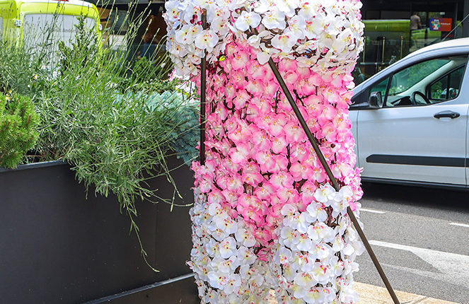 05 toni-cruz-IMG_6642