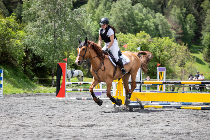 Competició d'equitació al Club Hípic l'Aldosa