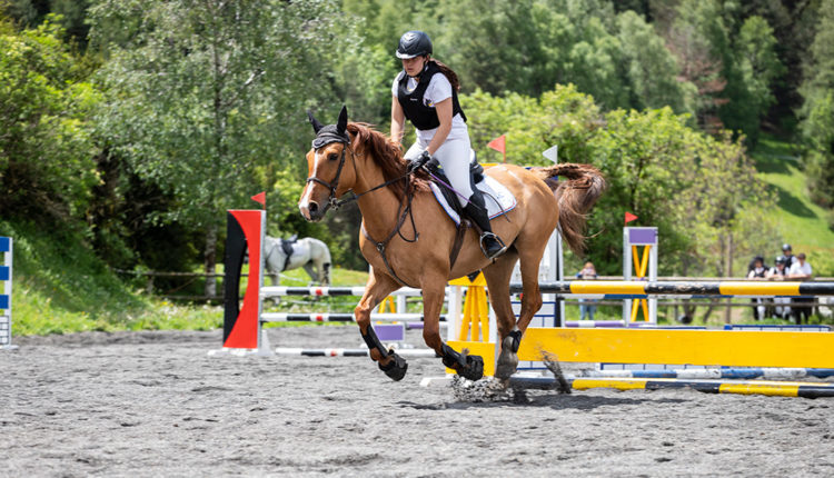 Competició d'equitació al Club Hípic l'Aldosa