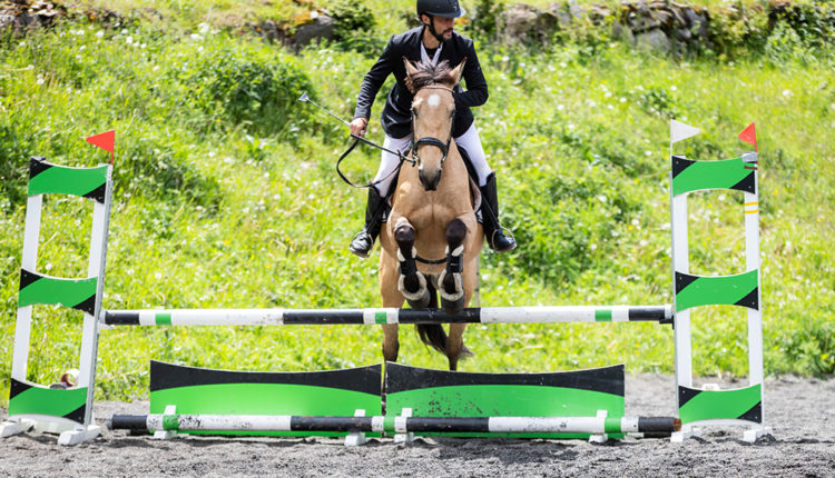 Competició d'equitació al Club Hípic l'Aldosa