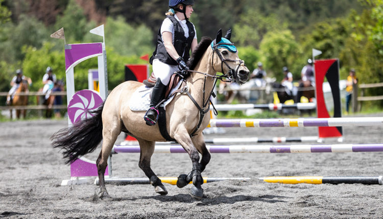 Competició d'equitació al Club Hípic l'Aldosa