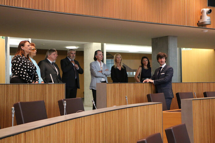 Cos consular al consell general