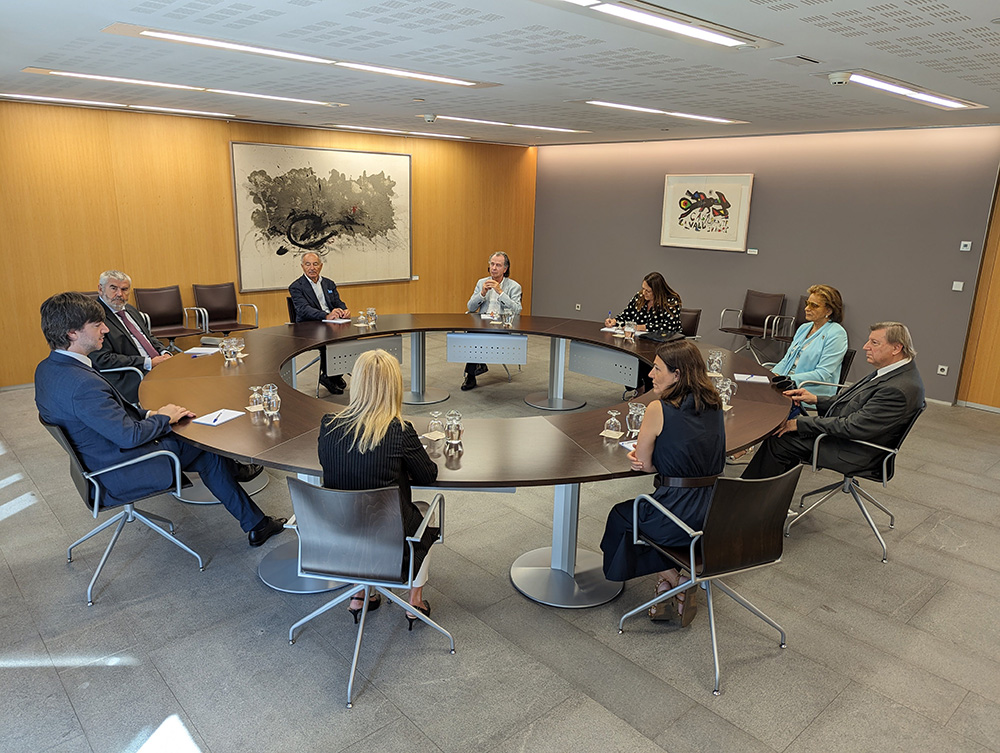 Cos consular al consell general