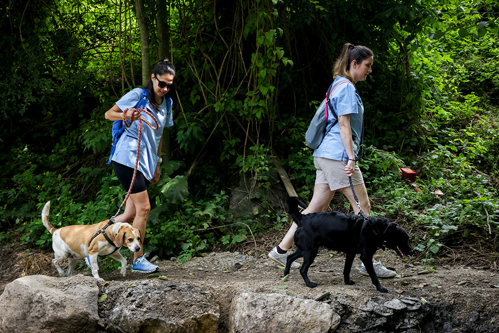 AniCura Món Veterinari