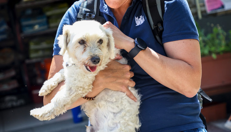 passejada-gossera-IMG_2902