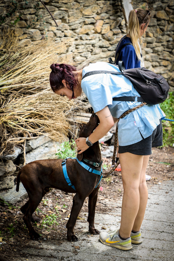 Passejada amb els gossos de la gossera
