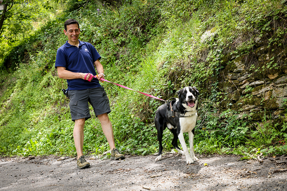 Jordi Giné, director d'AniCura Món Veterinari