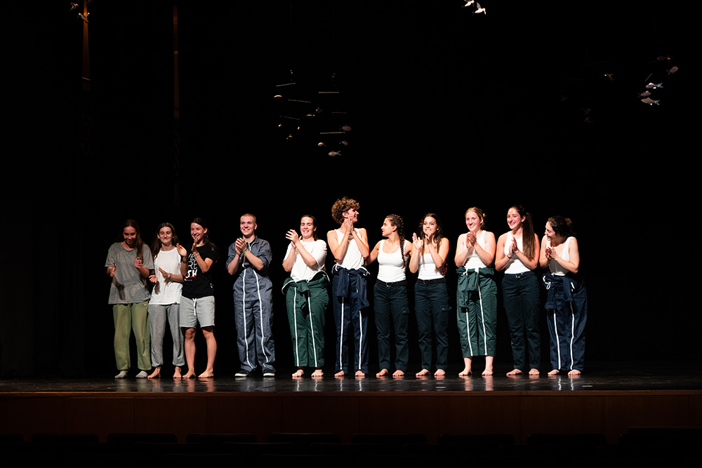 Somiatruites de la Jo Dansa