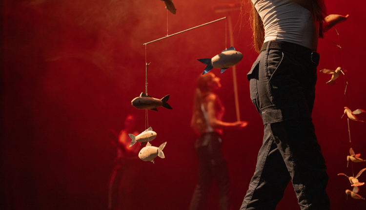 Somiatruites de la Jo Dansa