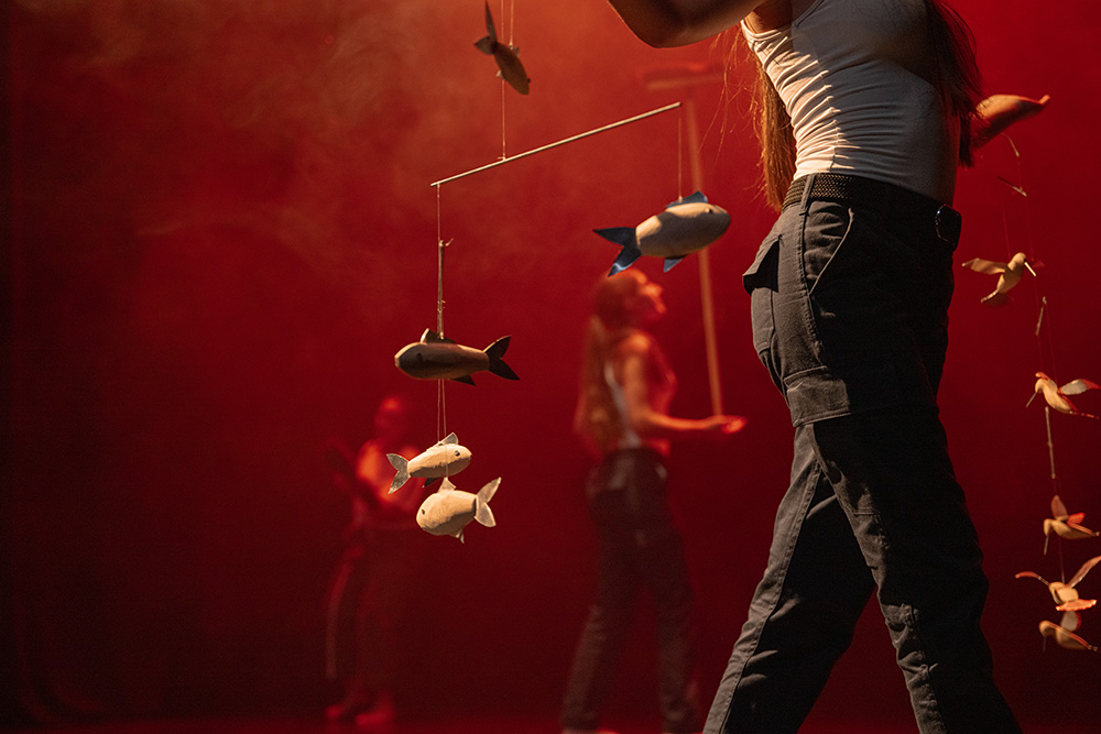 Somiatruites de la Jo Dansa