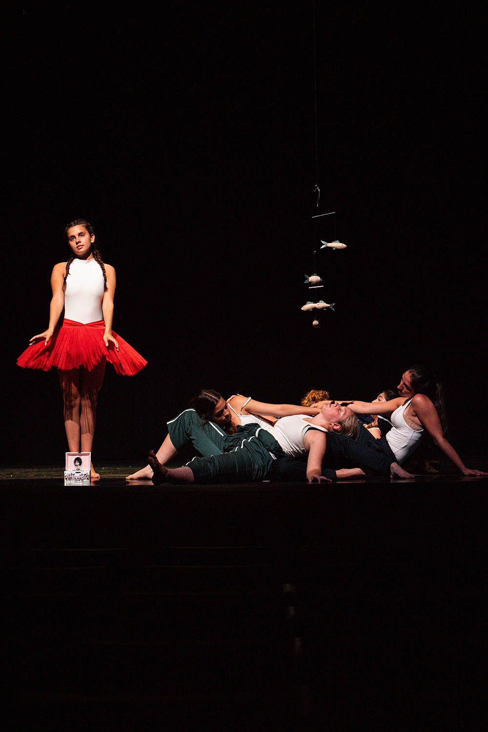 Somiatruites de la Jo Dansa