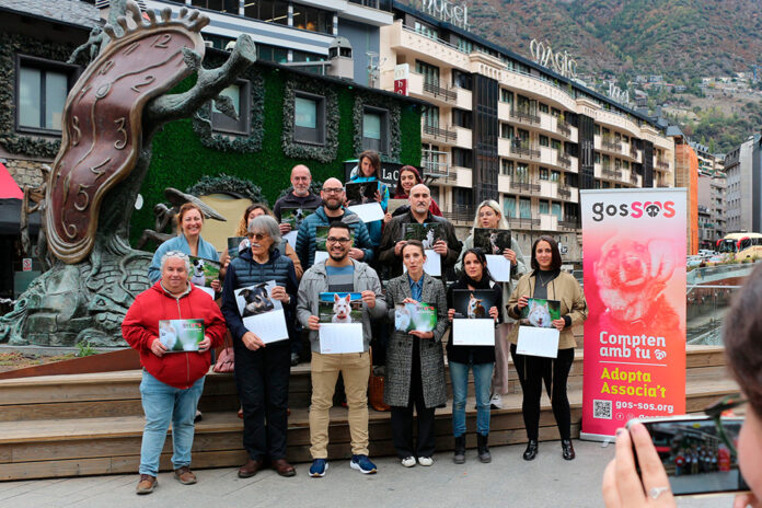 Calendari Solidari de Gossos