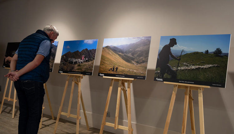 04_PITAVOLA 20230929 1