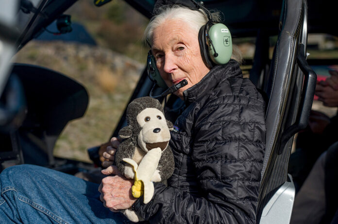 Jane Goodall a Andorra