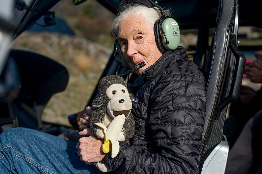 Jane Goodall a Andorra