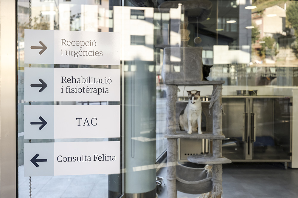 AniCura Món Veterinari Hospital Veterinari