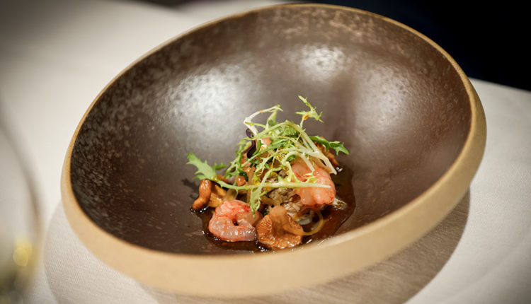 08_beç-nectar-vi-pares-balta-_28A4851