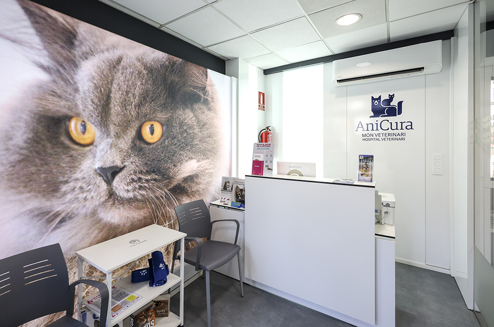 AniCura Món Veterinari Hospital Veterinari