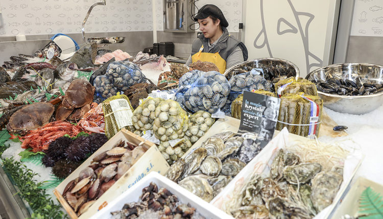 02_river-encamp-IMG_7579