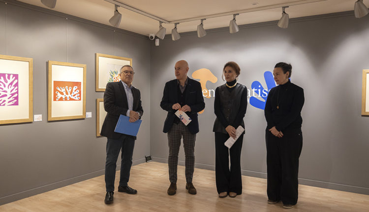 53367077767_0fa99f066e_o