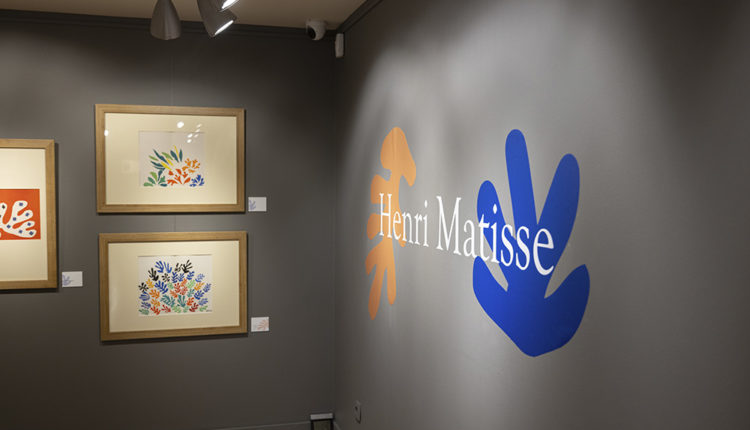 53367077782_6f8cfe2682_o