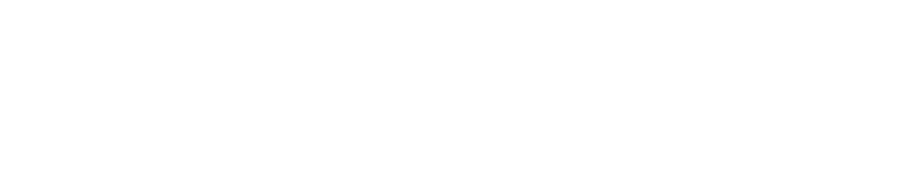 dona secret logo