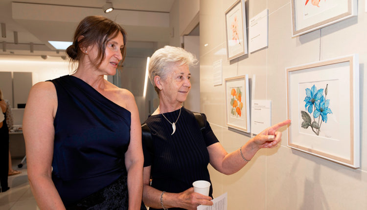 02-vitrina artistica (16 de 16)