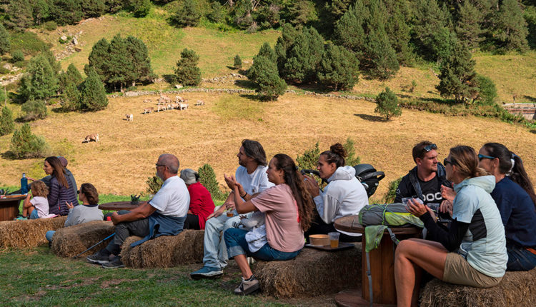 01-ESQUELLA INCLES WALKING MUSIC FESTIVAL 20250823 5