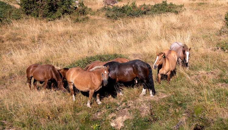 02-54715288147_9ce92a3960_o