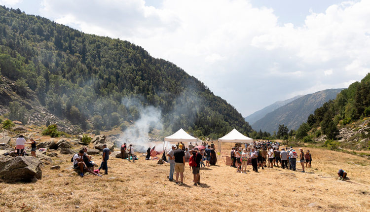 04-54715288587_411480eeb2_o