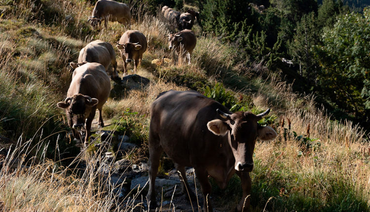 07-54716345794_67238d4e95_o