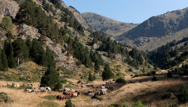 08-54716332798_e167c9a201_o